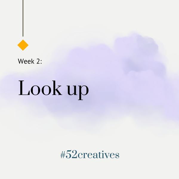 Week 2: Look Up